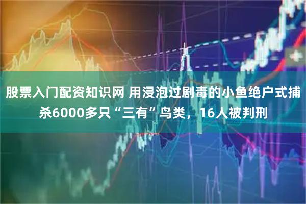 股票入门配资知识网 用浸泡过剧毒的小鱼绝户式捕杀6000多只“三有”鸟类，16人被判刑