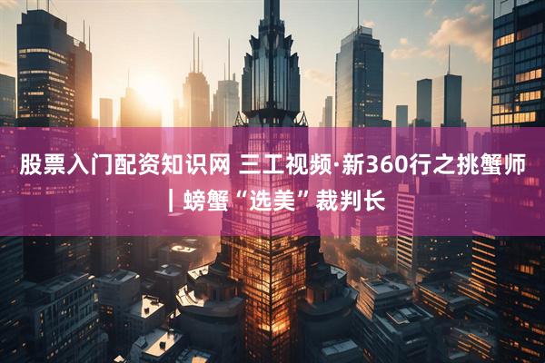 股票入门配资知识网 三工视频·新360行之挑蟹师｜螃蟹“选美”裁判长